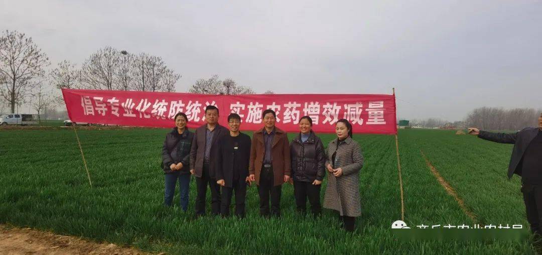柘城县副县长张炎耀调研小麦病虫害统防统治工作