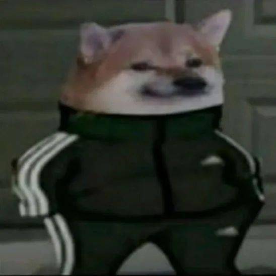 180f42393c0642eea71d27b2613b5e82.jpeg