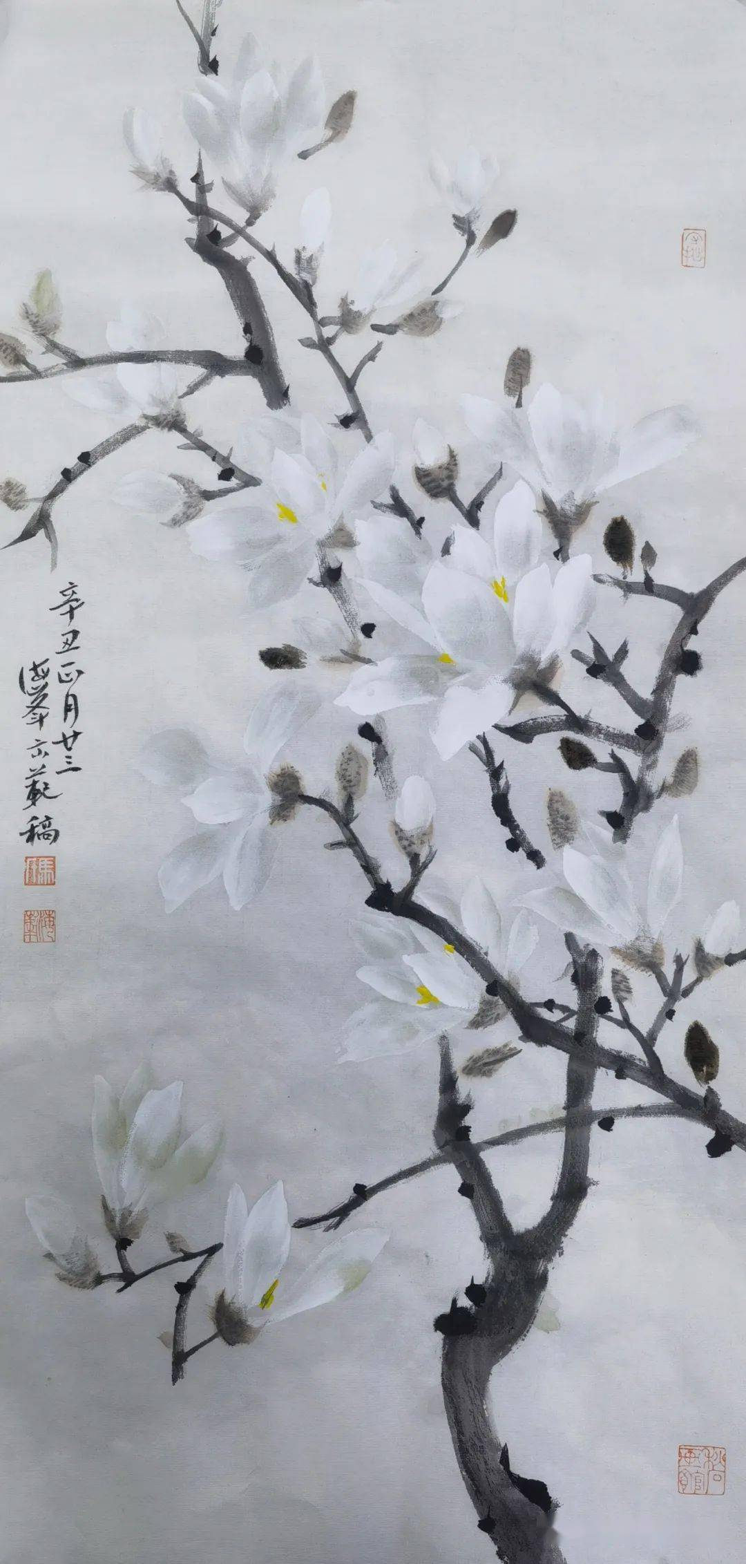 课堂示范稿马海峰老师百花作品系列马兰花木芙蓉蝴蝶兰红梅【传承交流