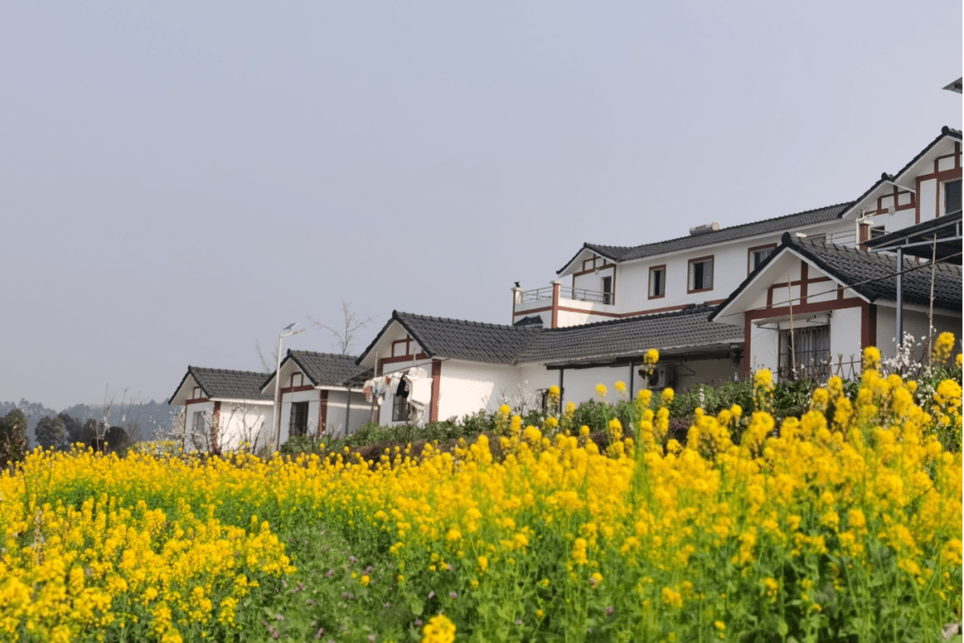 正是赏花好时节箭板古镇邀您来打卡