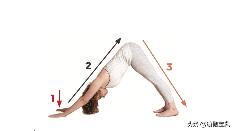 创造魅力身材最全瑜伽扭转序列滋养脊柱美丽心灵20个体式