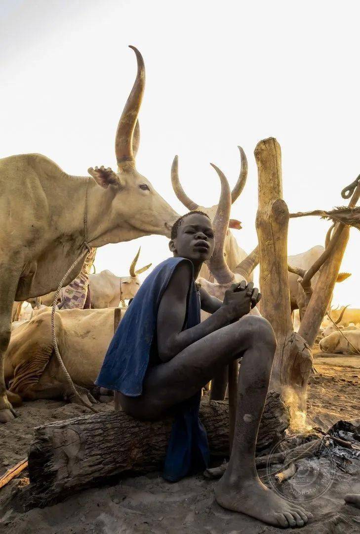 2020年ipa摄影奖获奖作品——非专业组(人像类)