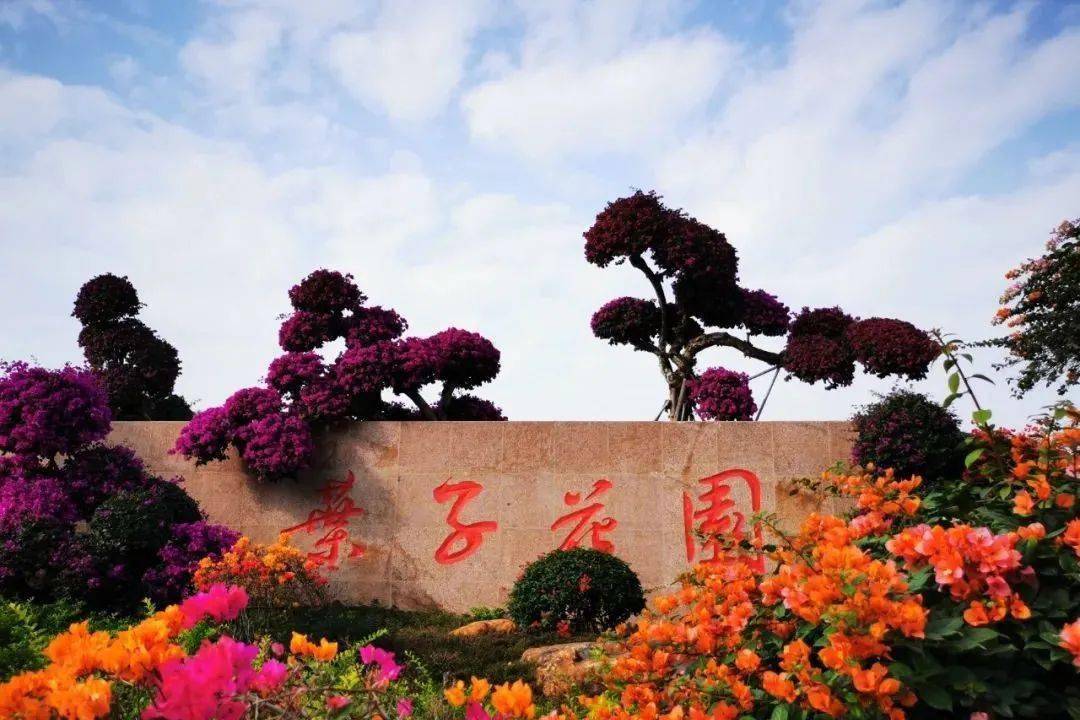 美~南宁青秀山这个花园的花都开了！！打卡拍照又多一个好地方！