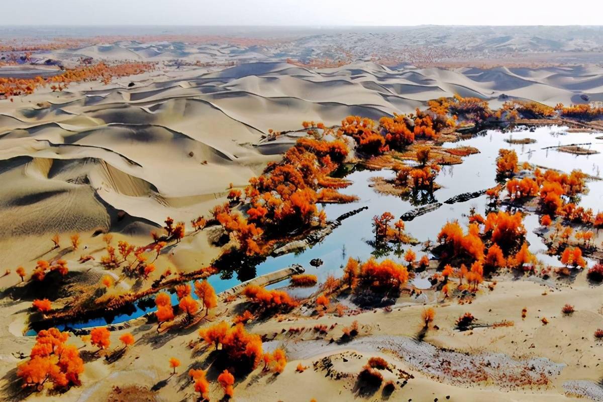 金色世界尉犁罗布湖