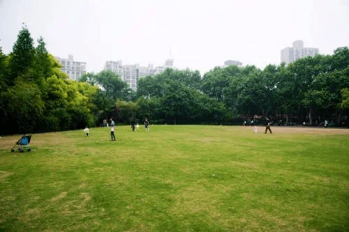 [中海国际社区]两大城市公园 捕捉家门口的四季风景