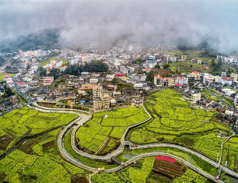 【阳光正好 春意正浓】虹山油菜花海盛开,正在刷屏全洛江!_虹山乡