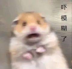 4fe98557477547769f4db1473f93b2ad.jpeg