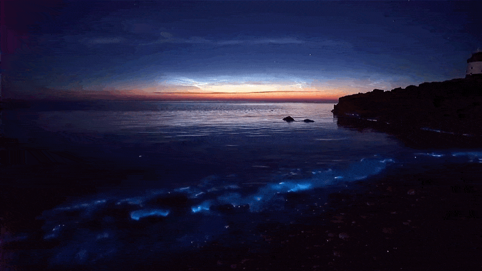 广西小岛惊现“荧光海”！距北海1.5h，被誉为“小镰仓”，人少却美到尖叫！