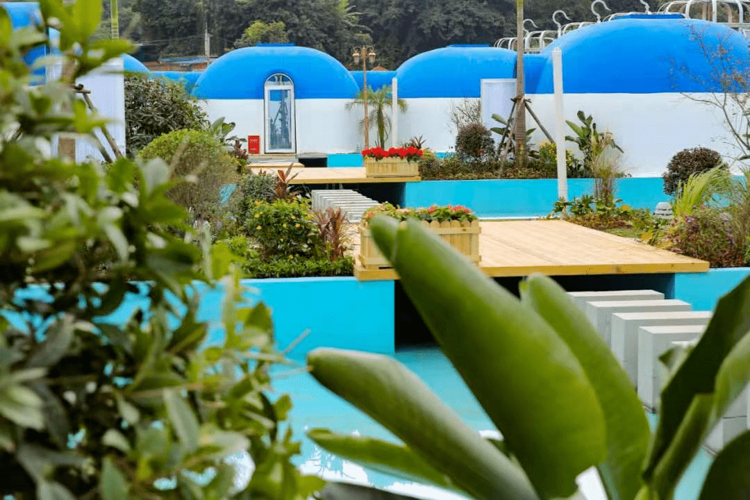 您有一份植树派对邀请函嘟嘟嘉年华邀你嗨翻植树节