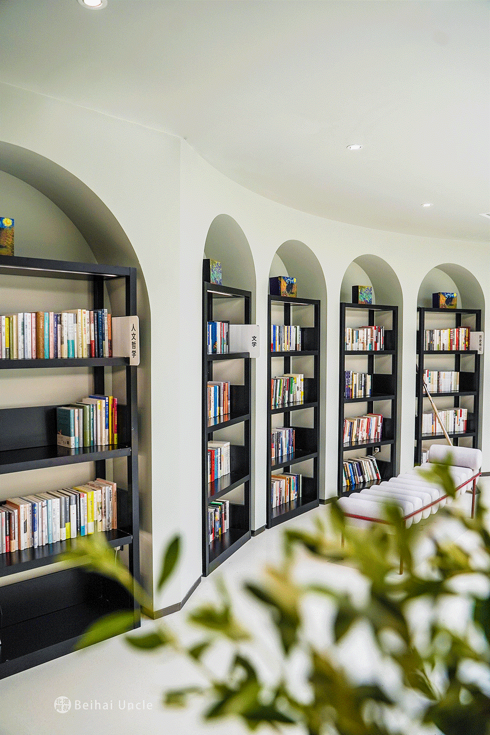 高光时刻北海侨港崛起跑出北海速度