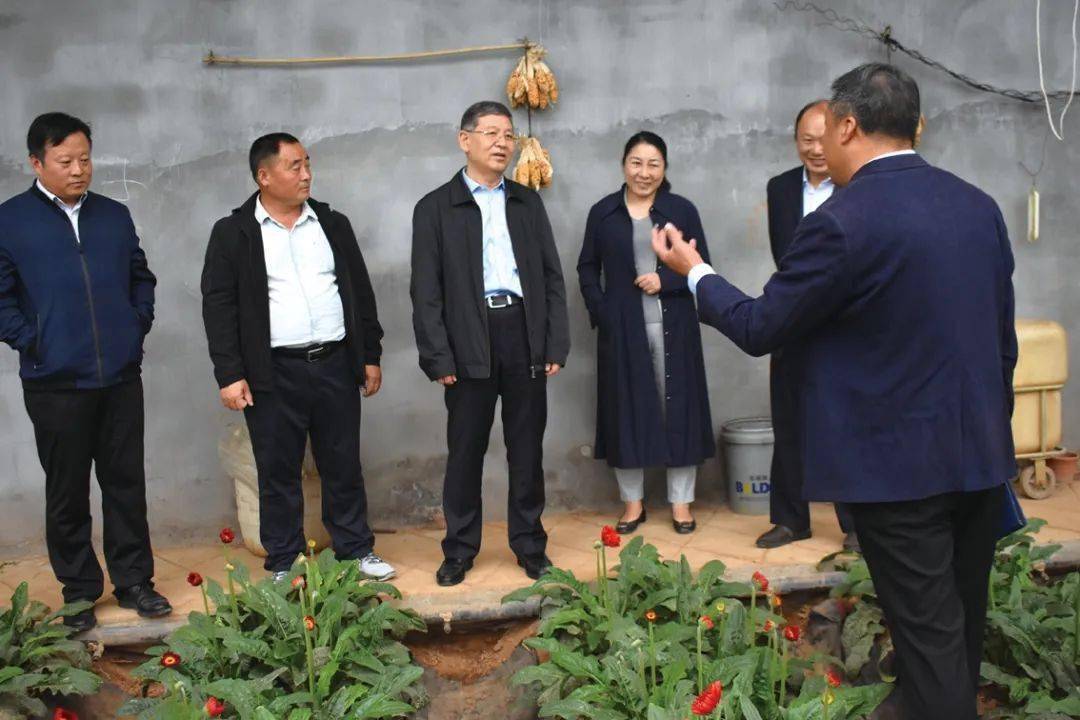 第一书记桃花源里脱贫战