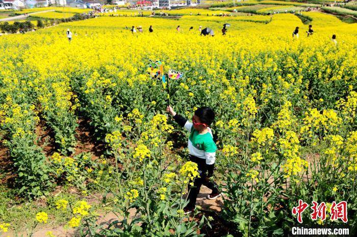 陕西汉中百万亩油菜花盛开风景如画