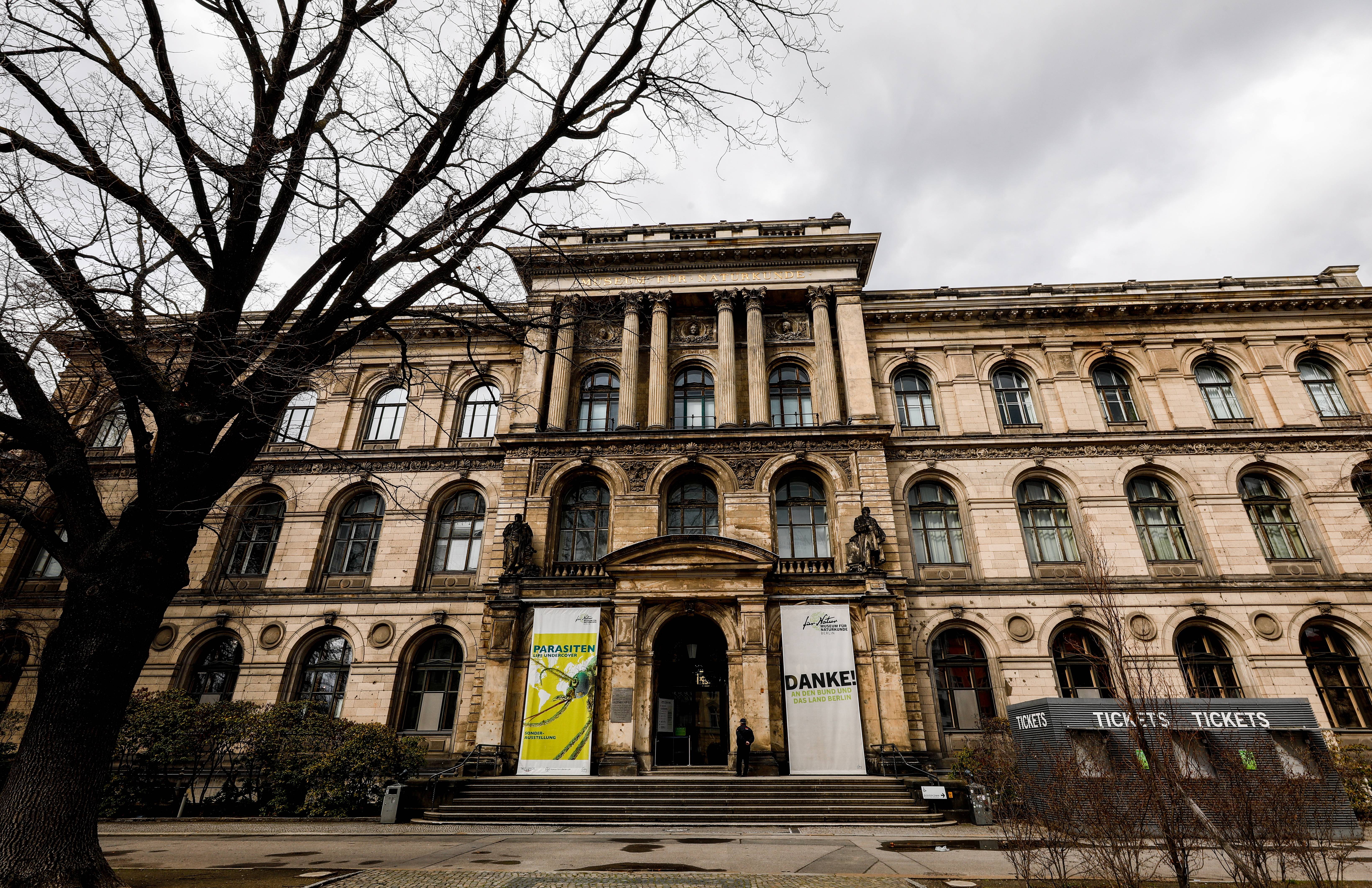 柏林自然历史博物馆重新开放