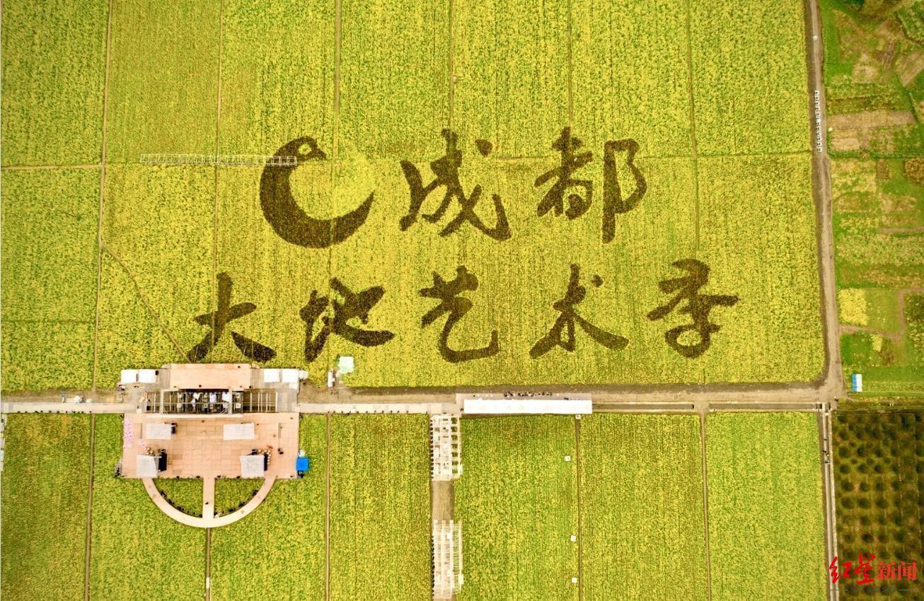中国·成都第二届天府大地艺术季开幕！快来体验公园城市乡村之美
