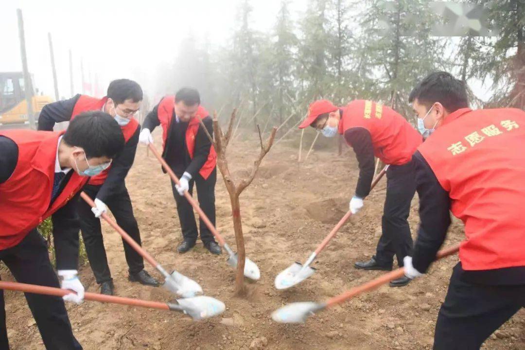 长葛有多少人口_今天,长葛大街上这1000多人才是长葛人最爱的 情人