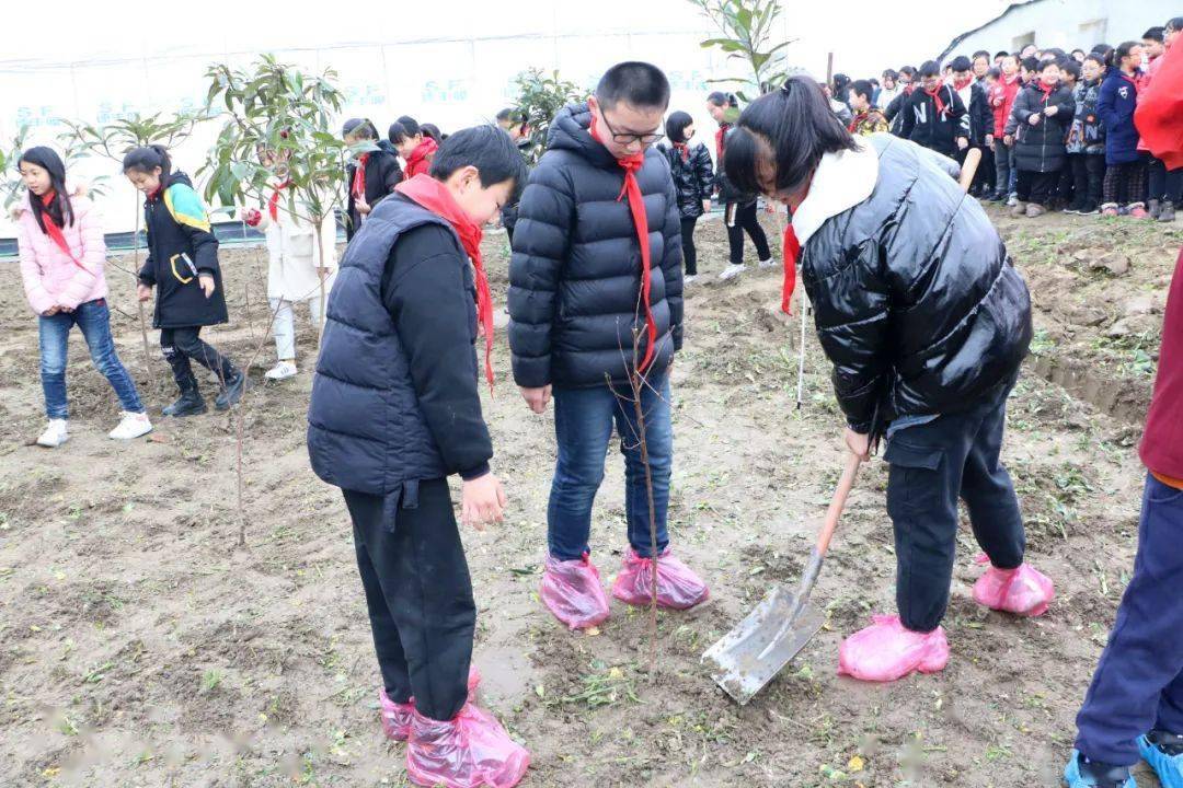 新時代文明實踐在如皋丨石莊鎮開展春季義務植樹活動