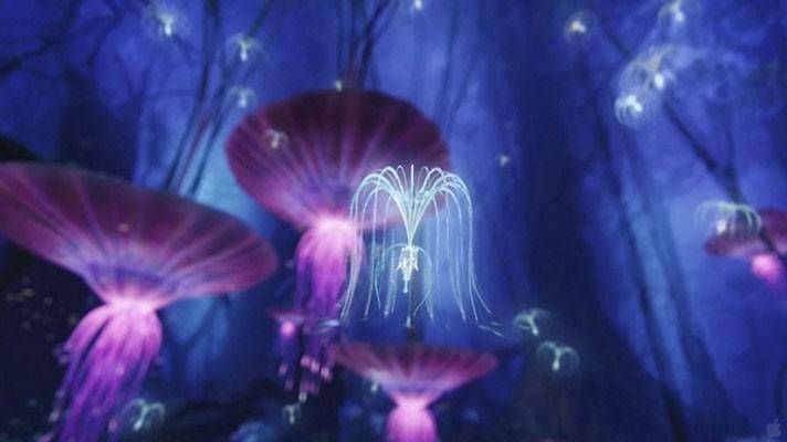 阿凡达再登票房王座芬兰摄影师微观镜头下地球美得像外星