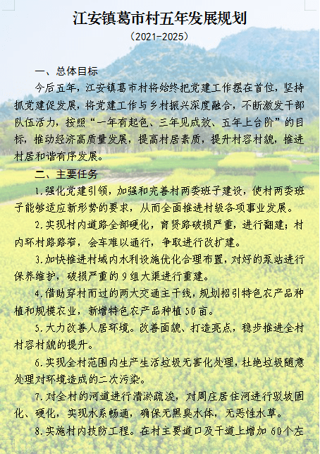 晒蓝图亮承诺丨江安镇村社区五年发展规划逐个晒中片