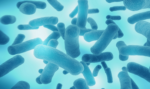人體免疫系統完全失靈,科學家在深海發現全新細菌_研究
