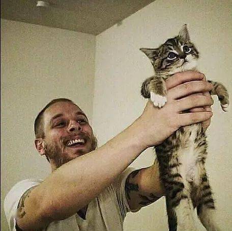 学辛巴举起小猫一年一次没想到猫咪长这么快