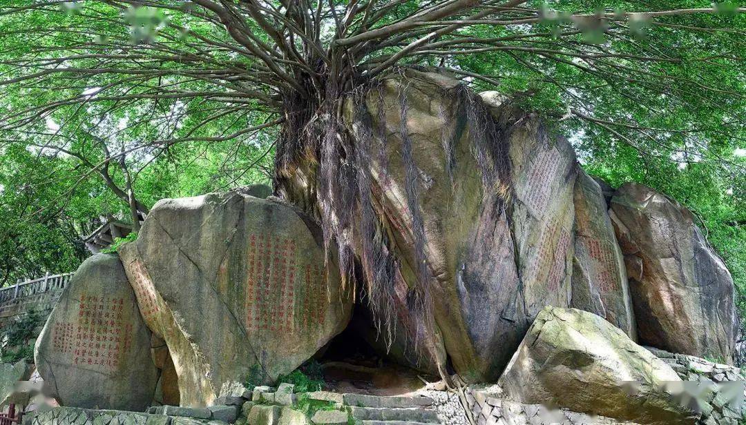武荣纪事九日山祈风石刻里的海丝记忆