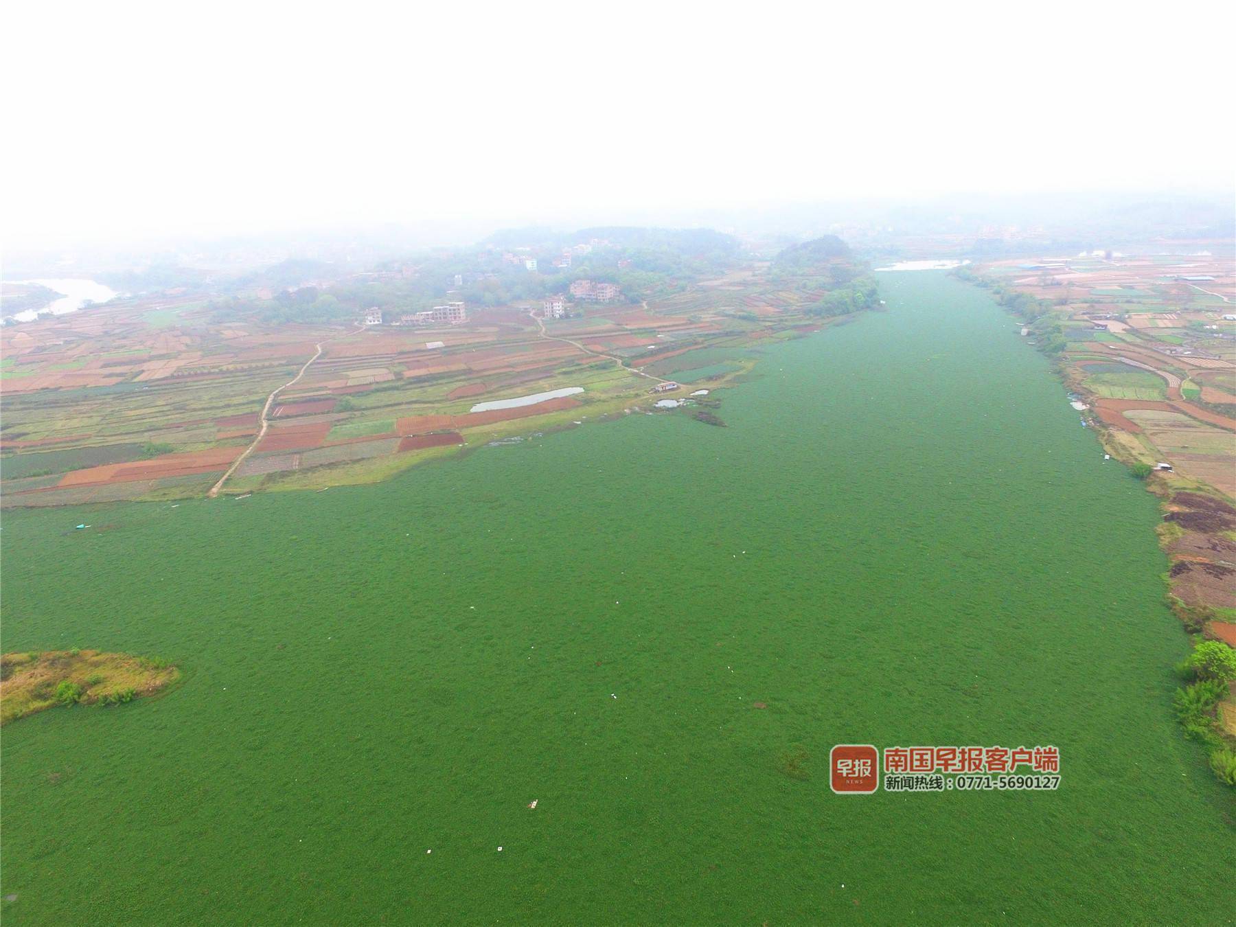 3月12日,南国早报客户端记者来到良庆镇新兰村乌兰新坡段,看到约百米