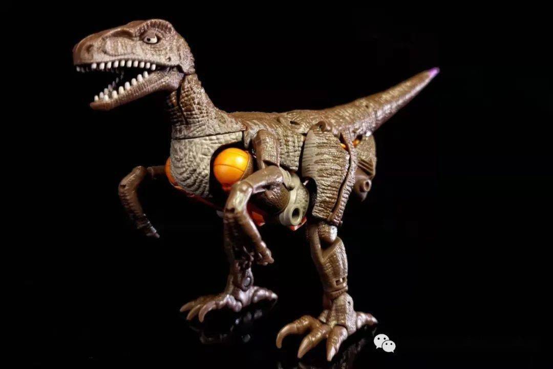 有看点变形金刚王国v级恐龙勇士人形无敌龙形僵尸