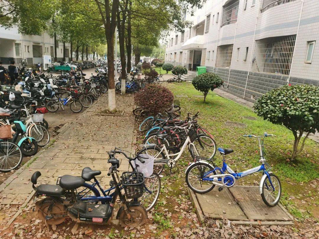麓园青年 | "学雷锋"活动月主题活动_校园