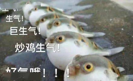3914ccc6ec844701933fc75d28191683.jpeg