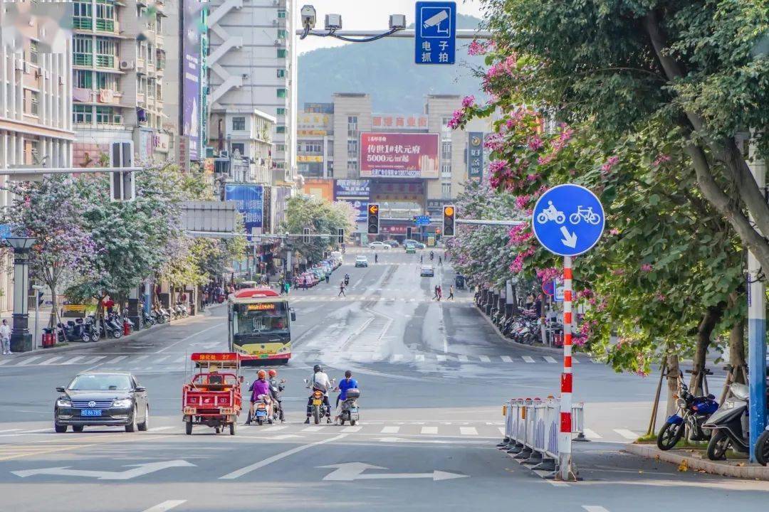 早已陷入一片粉红色的海洋和玫瑰湖公园等区域中山路,阜民路,潘塘公园