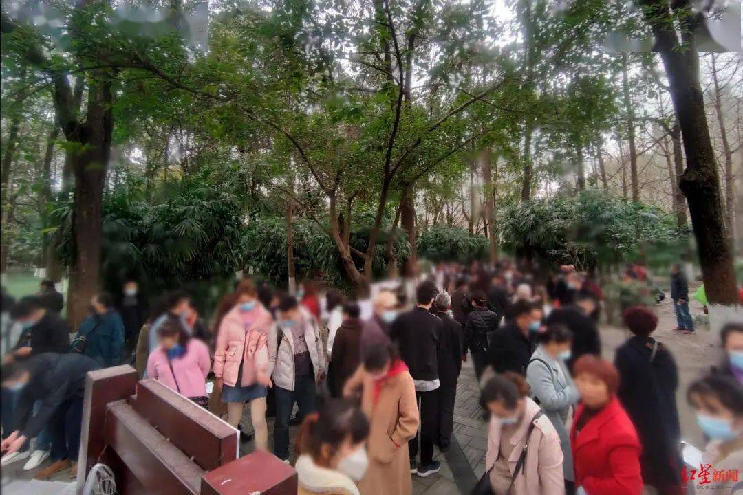 成都人民公園相親角被整治?管理處回應來了