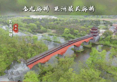 “学习强国”推荐！丽水这座亚洲最长廊桥，超美的……