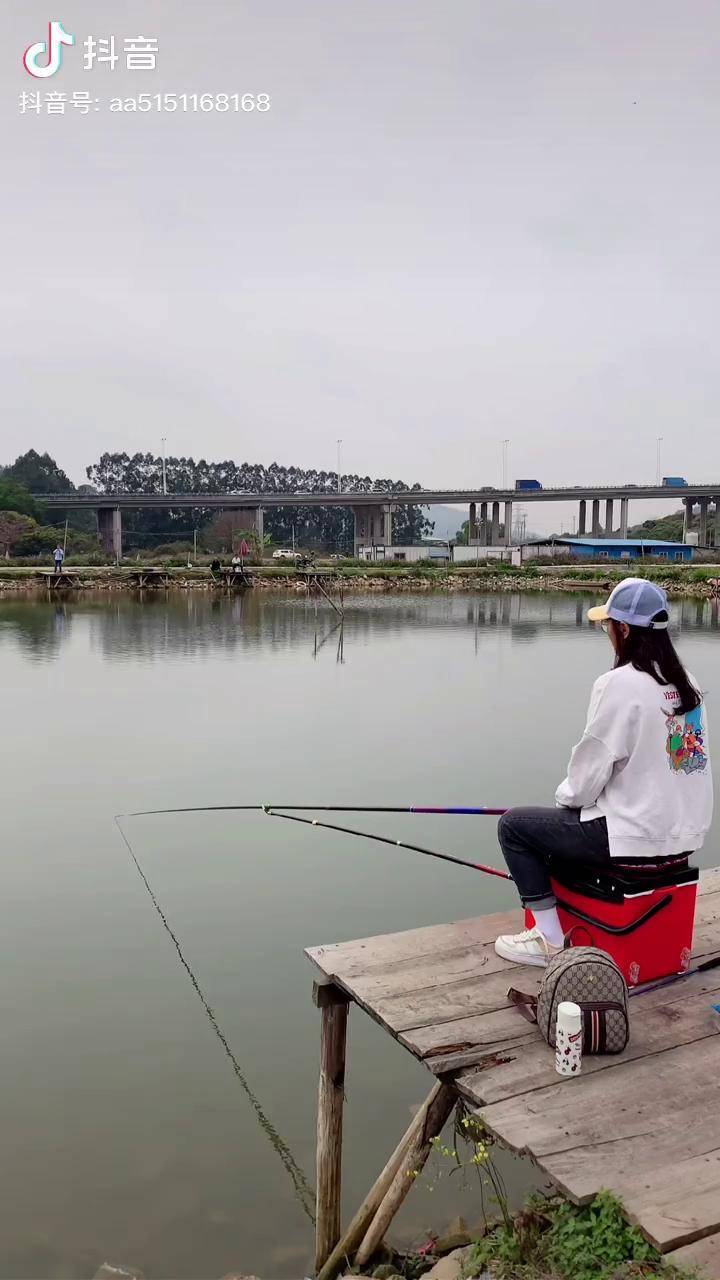 女子钓大青正在直播中钓鱼人