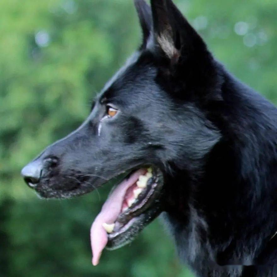 保罗退出关注度第一神坛东德排名重新洗牌