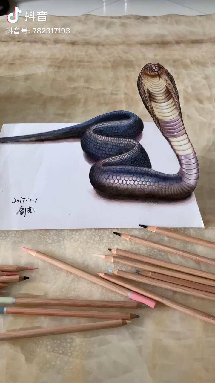 剑光手绘彩铅立体画蛇