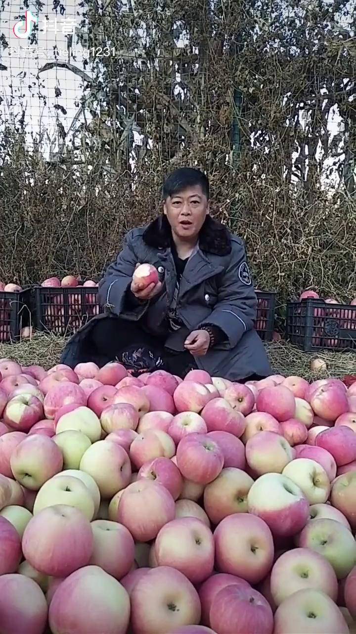永强果园的大苹果谢永强 乡村爱情 水果