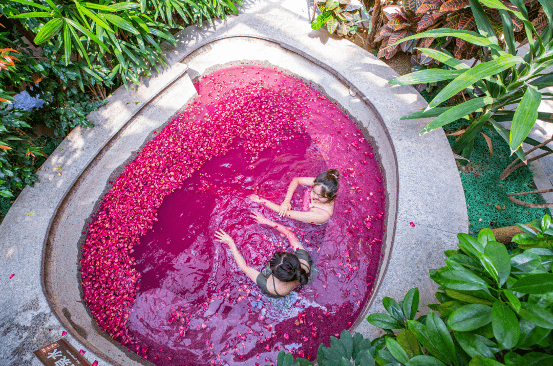 郊游赏花泡汤农耕到丰台南宫旅游景区拥抱春天
