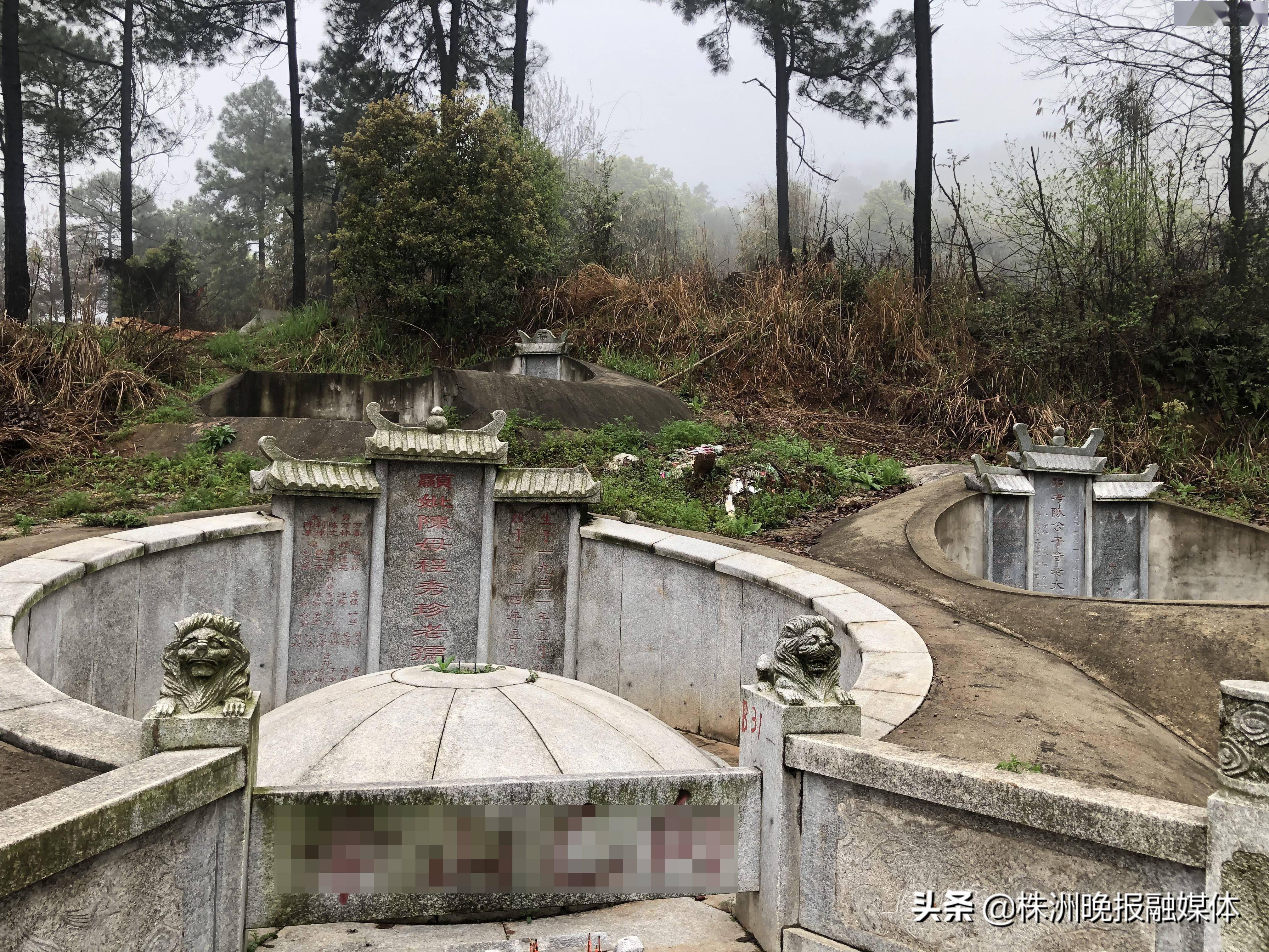 改造前的墓地 記者 周蒿 攝將豎碑改成躺碑,去除水泥硬化,植樹綠化