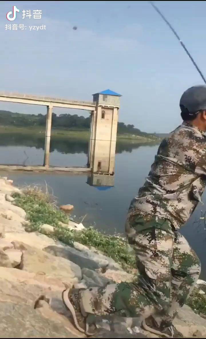 甲鱼养殖打甲鱼云农说