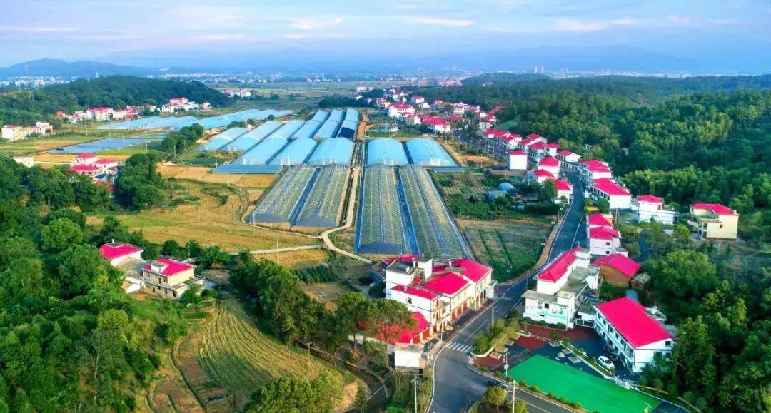 高标准打造了紫溪田园综合体,凤栖小镇,袁水源城乡融合示范区等乡村