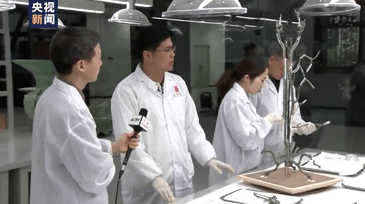 文保专家：青铜神树修复后将第一时间展出