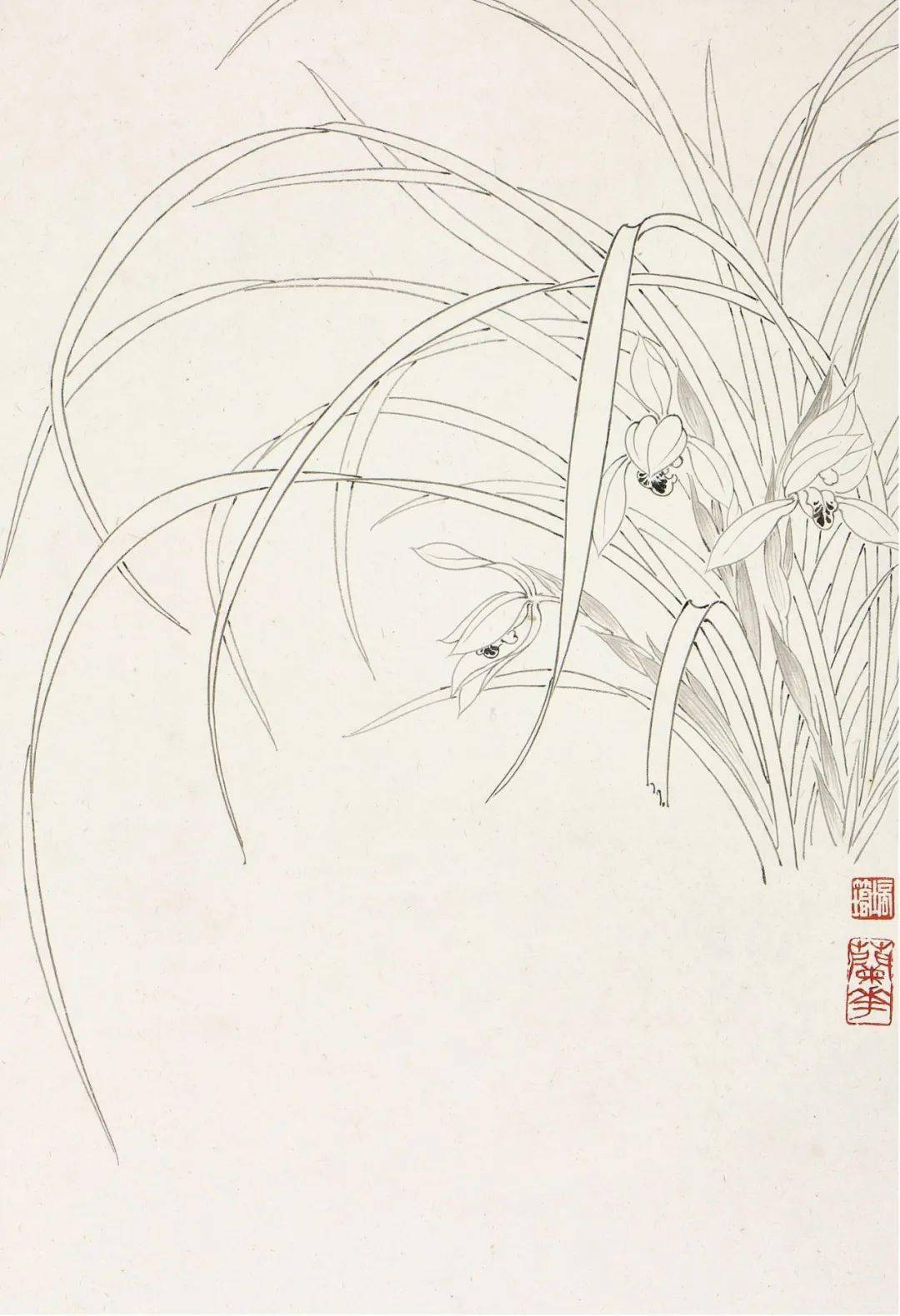 管锥使命章培筠如何用线来表现花卉