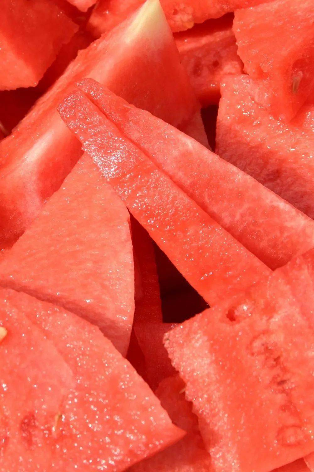 【文末有福利】30元一斤的天价西瓜上市凭啥被疯抢?_潍坊