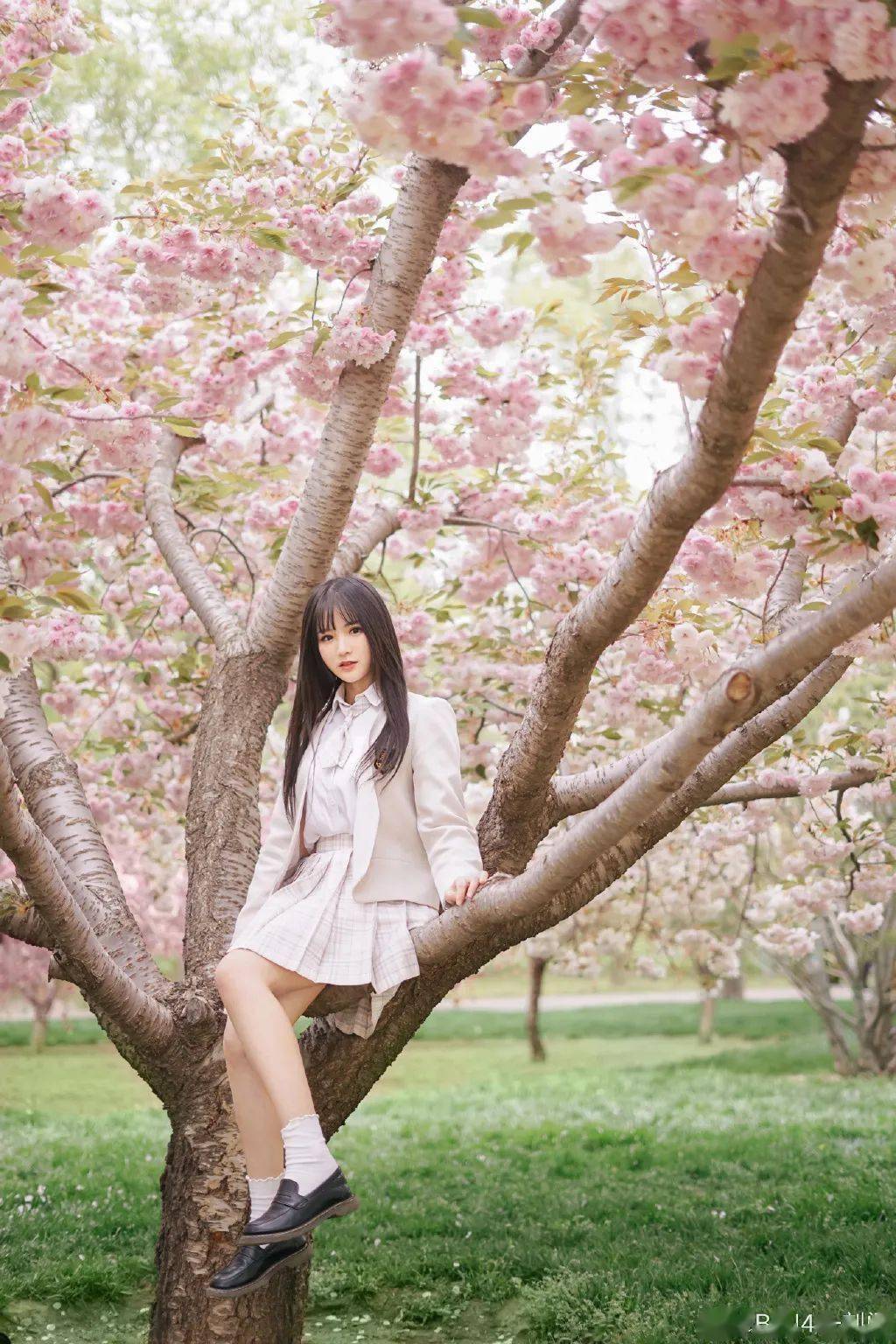 生活志丨不负春光去拍照吧!snh48 group的制服写真参考