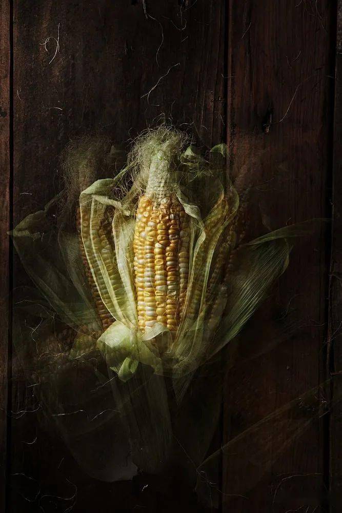 2020年oneeyeland世界十大静物摄影师佳作欣赏