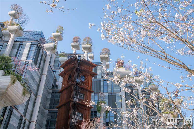 “烟雨江南”樱花市集亮相苏州河畔 记录城市间的美好春光