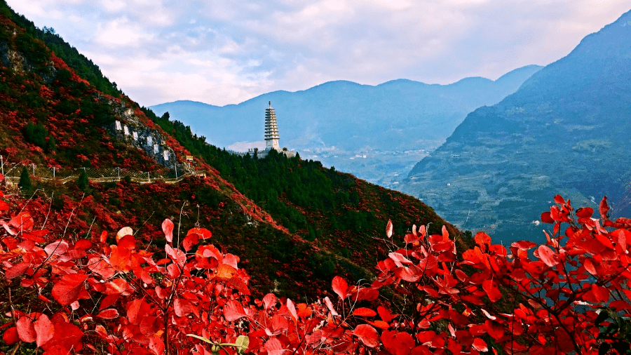 贵州红叶最美的地方图片