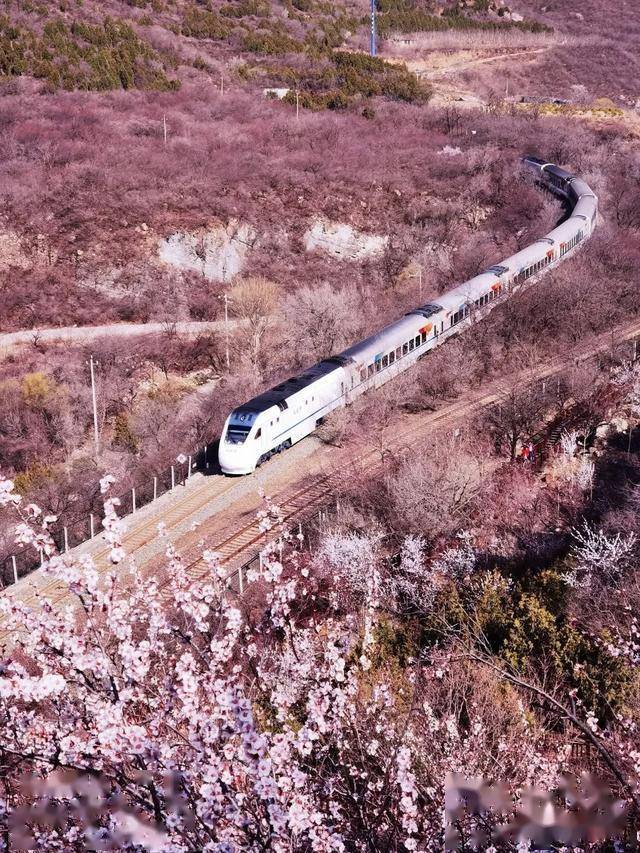 居庸关长城花海栈道图片