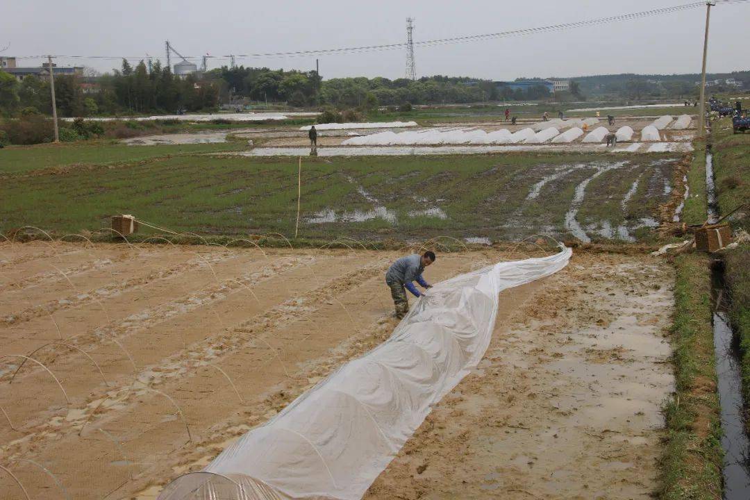 未来7天我省南北天气大不同4月初又有冷空气