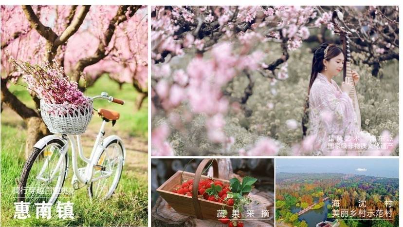 2021上海桃花节开出“不一样”的花朵